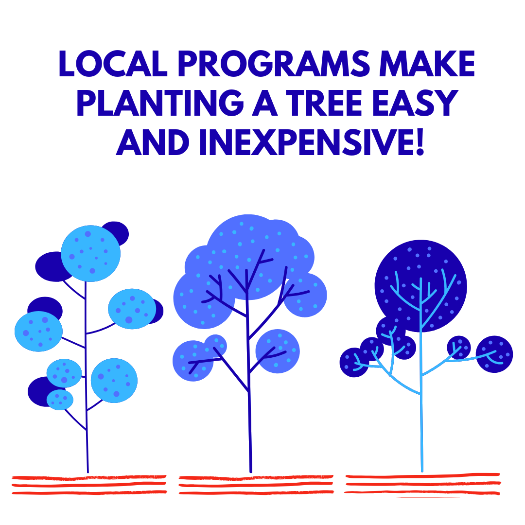 Local Programs Make Planting A Tree Easy and Inexpensive